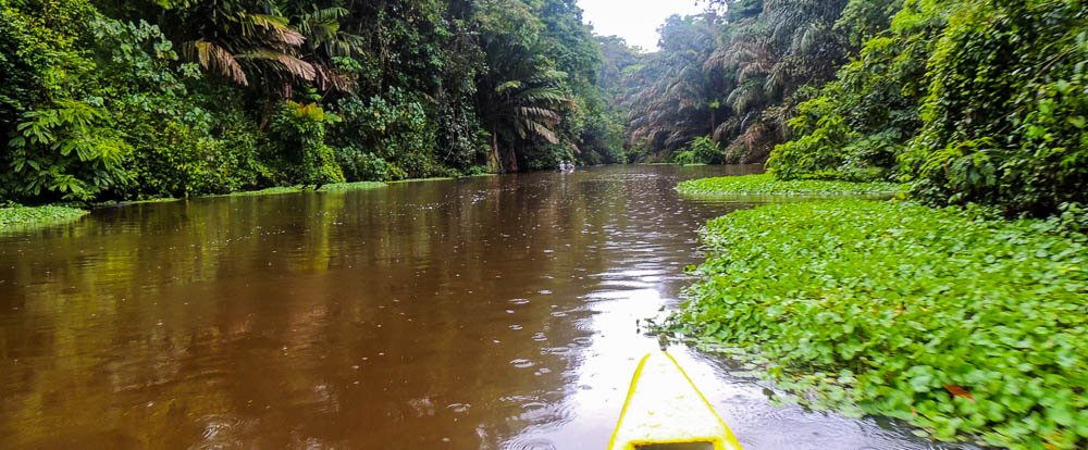 tortuguero national park attraction canoe canal 
 - Costa Rica